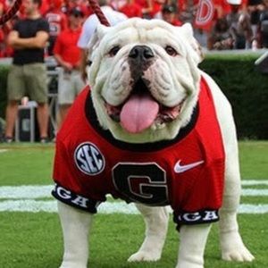 Meet your Posher, Blakely